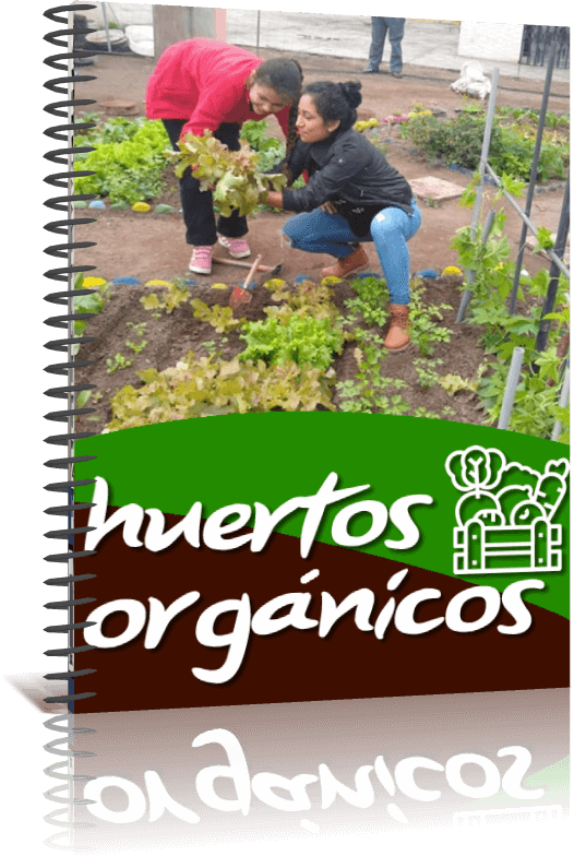 ebook huertos organicos (2)