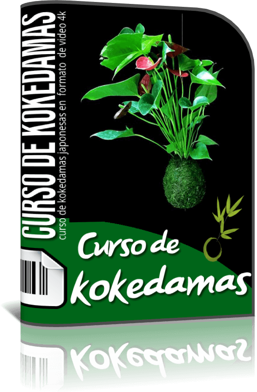 librokokedamas (2)